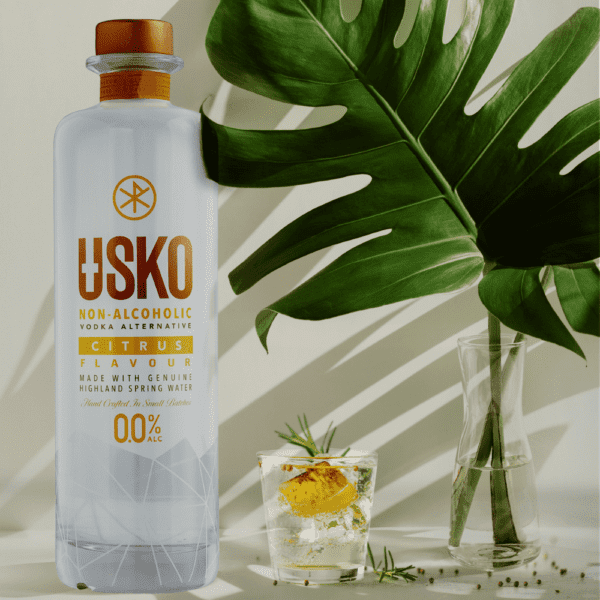 USKO - Citrus Vodka Alternative - Image 4
